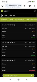 Screenshot_2023-11-12-22-23-05-465_com.android.chrome.jpg