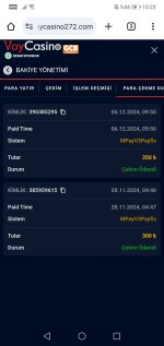 Screenshot_20241206_102308_com.android.chrome.jpg