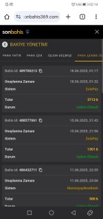 Screenshot_20250618_021401_com.android.chrome.jpg