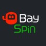 BaySpin Destek